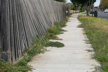 Fence panels can be braced against the wind with timber supports or spurs. Fence panels can be braced against the wind with timber supports or spurs.