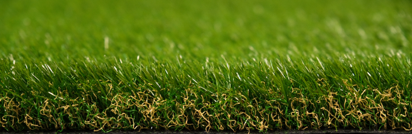 an image of an up close Namgrass grass; Serenity