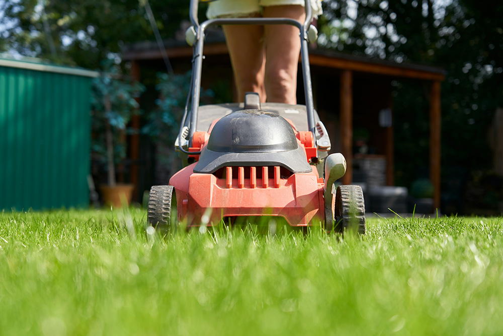 It's best to start mowing the lawn once the grass begins to grow - which is usually mid-March.