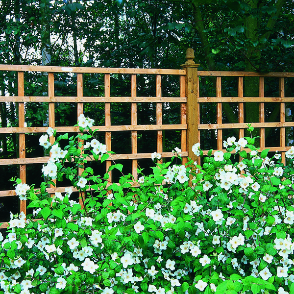 Wooden garden trellis' are the most well-known, and can often be made of pressure-treated timber.