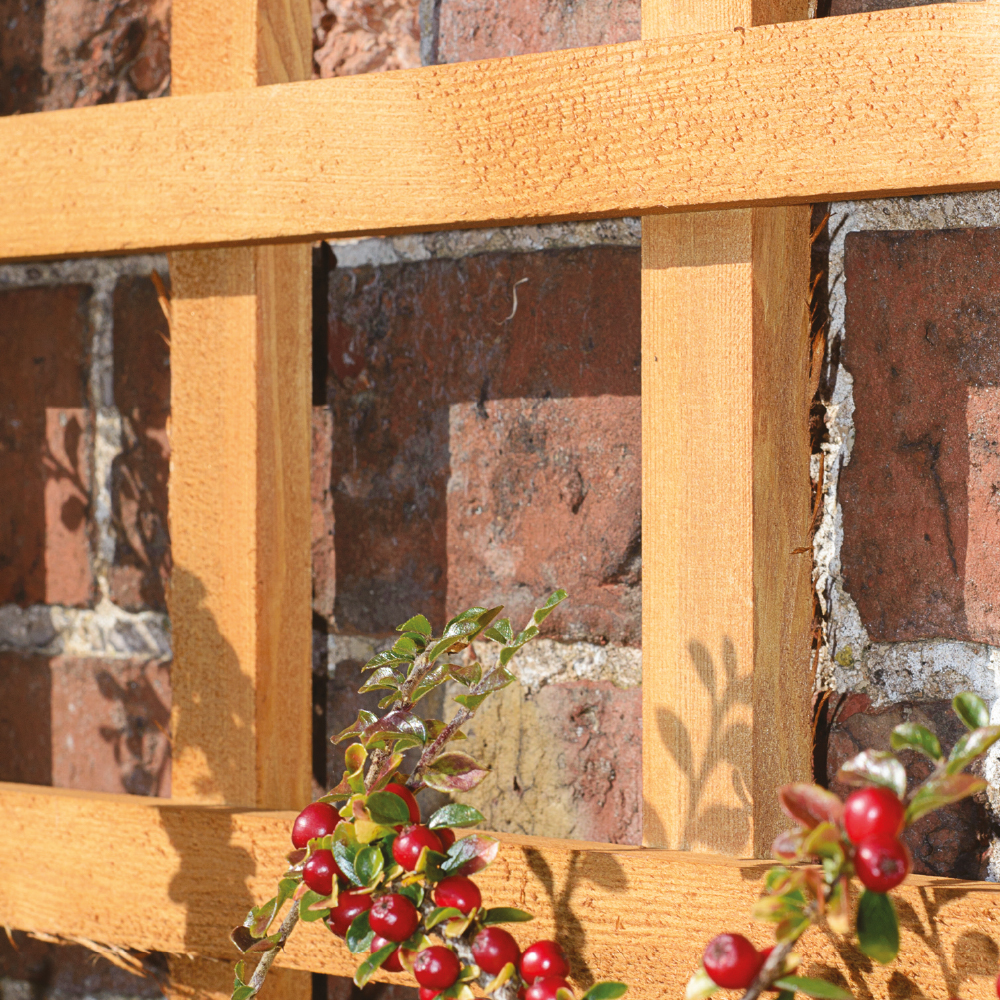There are so many different things you can do with a garden trellis, and so many types.