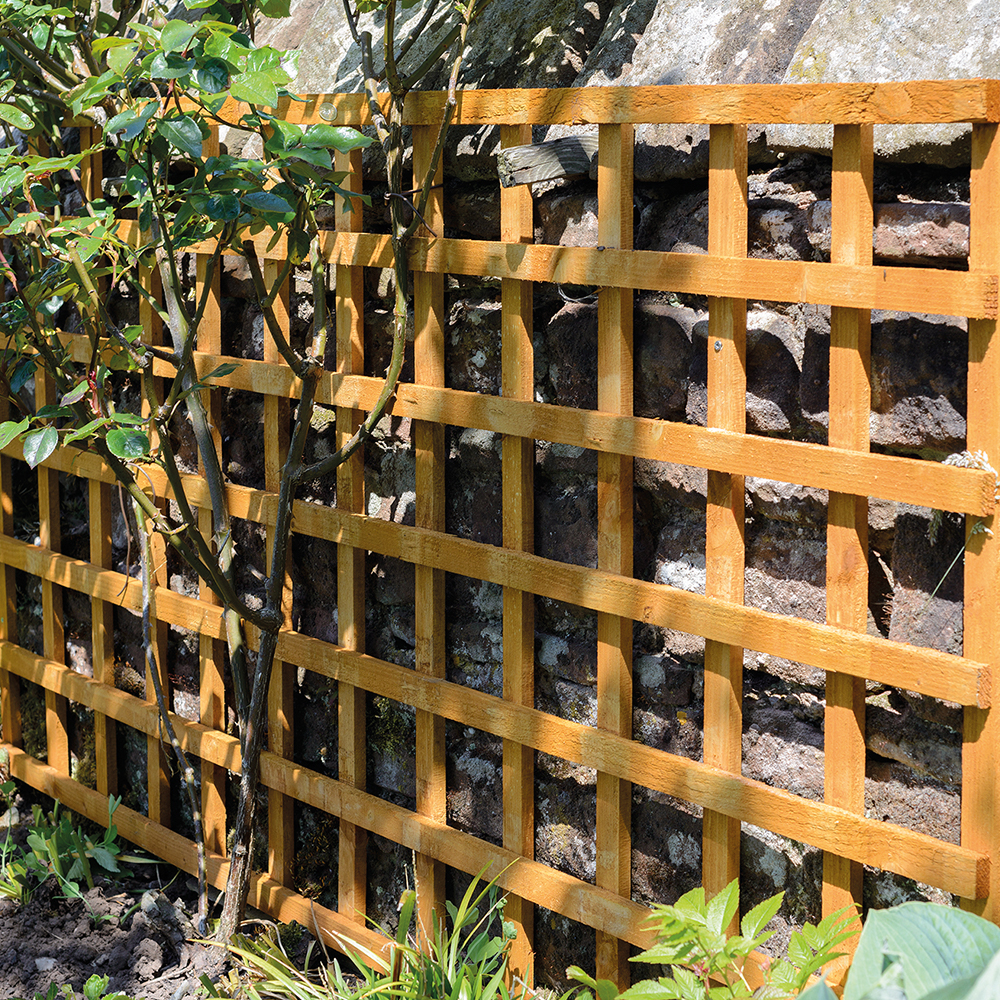 Garden trellis' on walls are much more secure, whether they are traditional or modern.