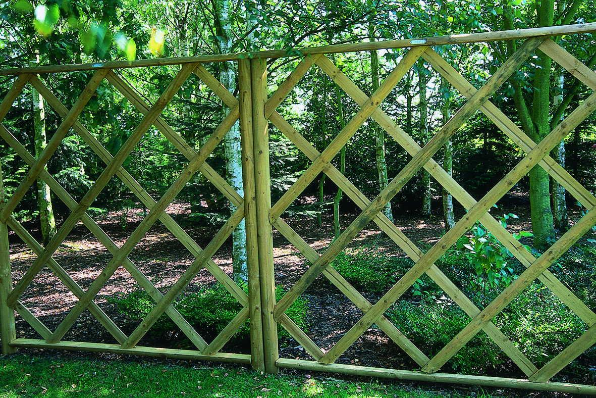 Window trellis is an effective way to add trellis to your home / garden. It makes the garden look bright and colourful.