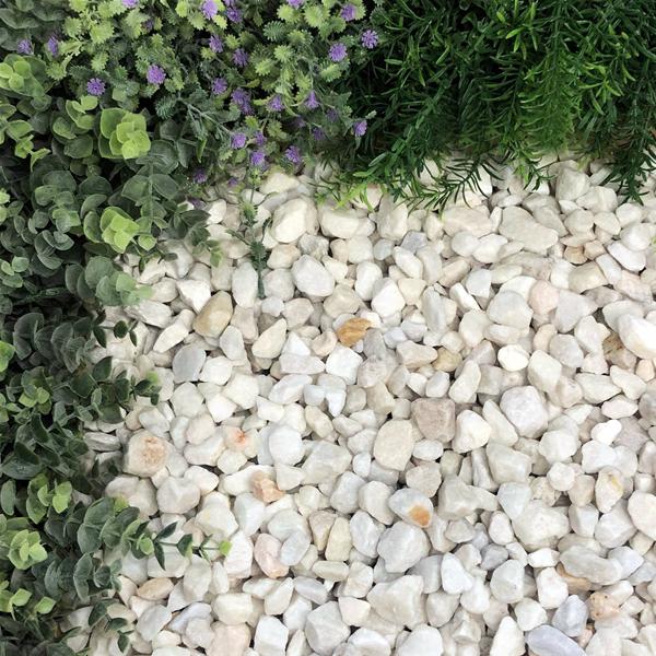White garden stones nestled amid lush greenery, adding elegance to the garden landscape.