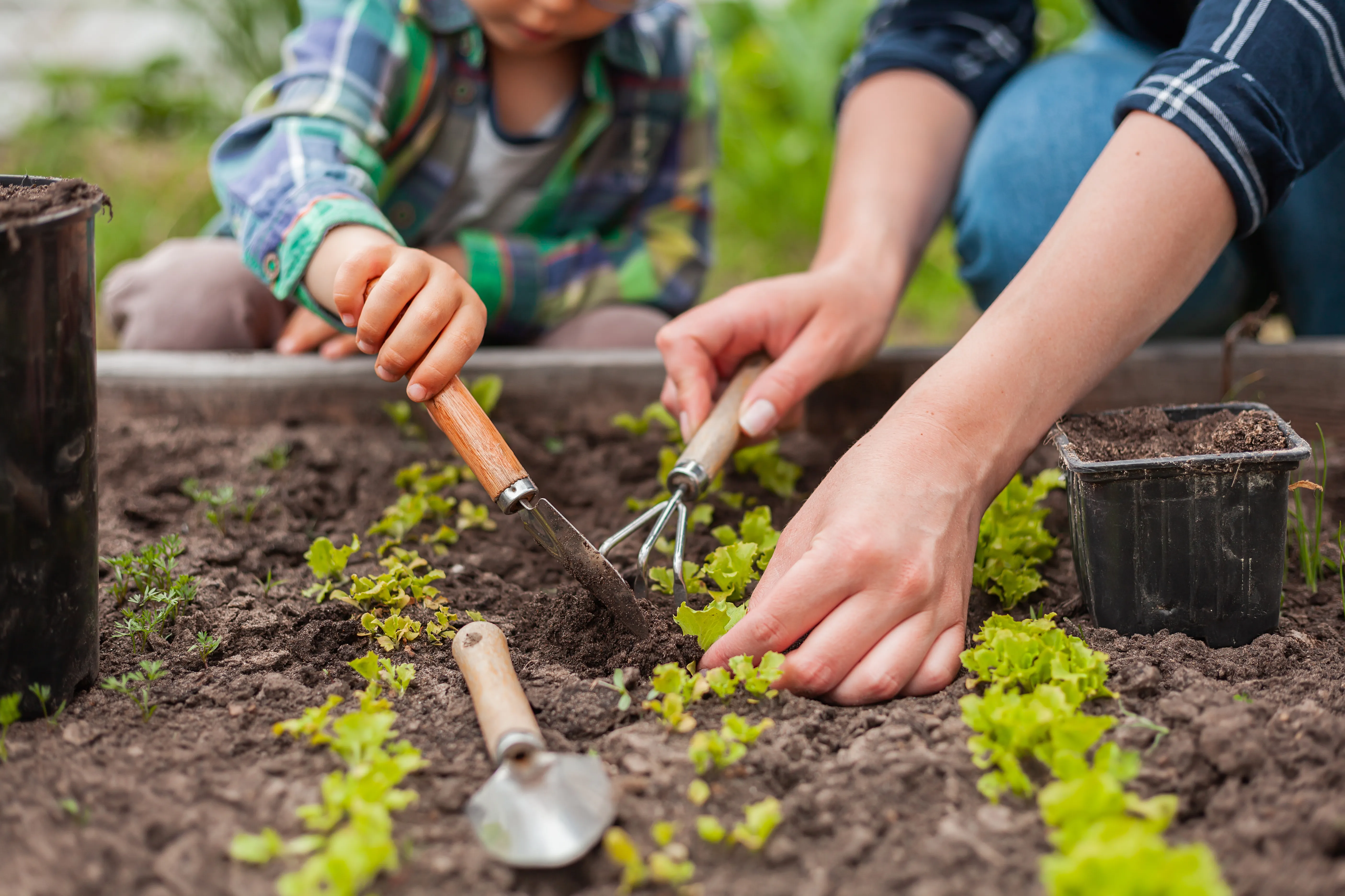 A sensory garden is a great way of incorporating texture into your child-friendly garden.