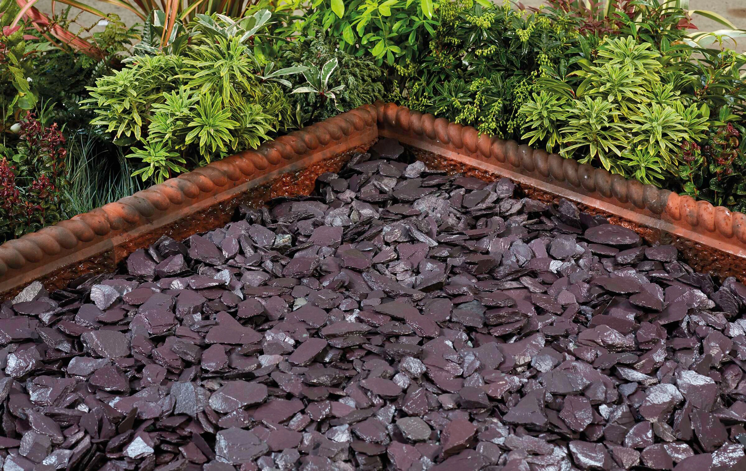 Purple slate chippings used as an edging or border in a garden. 