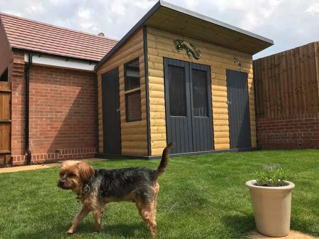 Cladding outdoor shed in someones garden, amongst bright, green artificial grass, with a dog pictured to the left.