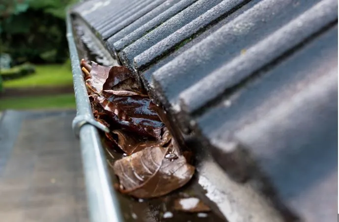 Gutters filled with leaves that may require gutter cleaning maintenance. Gutters filled with leaves that may require gutter cleaning maintenance.