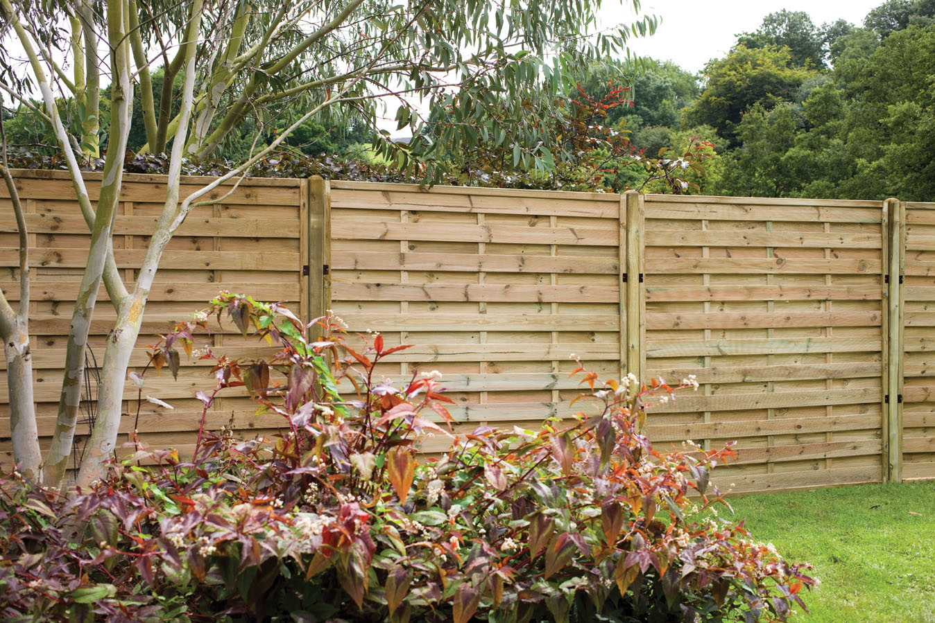an image of a mahogany brown fence with white posts and a white brick trim.