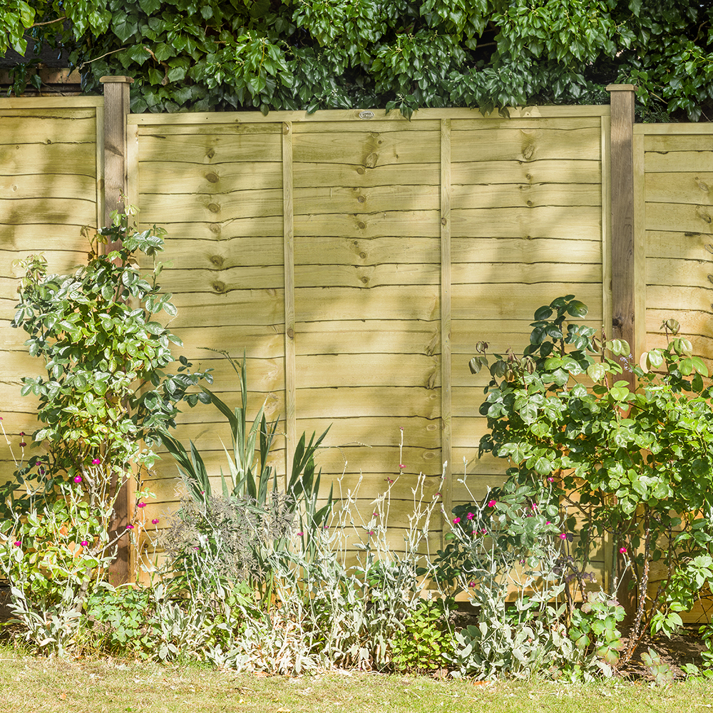a longshot image of a light-coloured fence with concrete posts