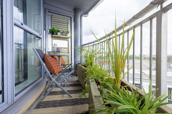 Balcony garden: maximizing greenery and style in a compact outdoor space. Balcony garden: maximizing greenery and style in a compact outdoor space.