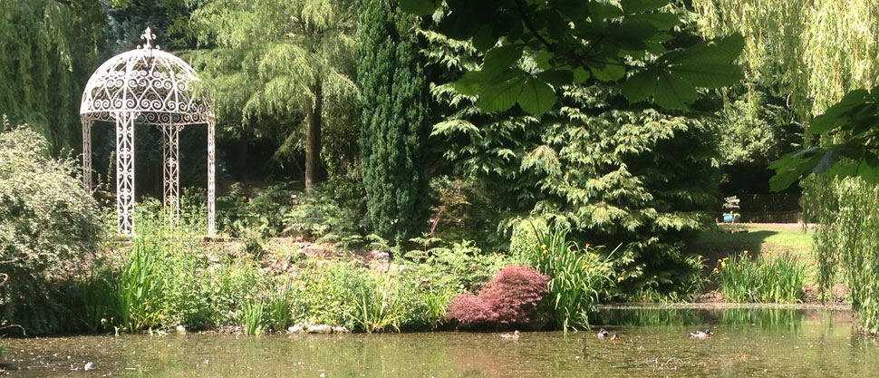 pond