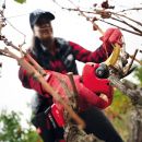 FELCO 834V Akku-Astschere 14,4 V, 2x 3,0 Ah + Ladegerät Thumbnail 3