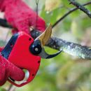 FELCO 834W Akku-Astschere 14,4 V, 2x 3,0 Ah + Ladegerät Thumbnail 2