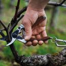 FELCO 8 Elite Gartenschere Thumbnail 2