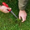 FELCO 442 Löwenzahn-Ausreisser Thumbnail 2