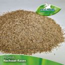 Kiepenkerl Pegasus Nachsaat-Rasensamen, 1 kg - 622258 Thumbnail 3