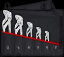 KNIPEX (00 19 55 S4) Zangenschlüssel-Set 5-teilig Thumbnail 1