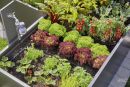 Gardena Kit d'initiation pour rangées de plantes jusqu'à 35 plantes Thumbnail 6