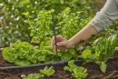 Gardena Tube prolongateur pour micro-asperseur Thumbnail 2