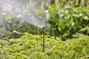Gardena Tube prolongateur pour micro-asperseur Thumbnail 5