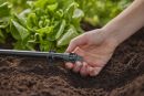 GARDENA 13205-20 Micro-Drip-System Verschlussstopfen 13 mm (1/2") Thumbnail 4