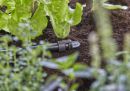 GARDENA 13205-20 Micro-Drip-System Verschlussstopfen 13 mm (1/2") Thumbnail 5