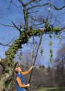 FISKARS Manche dextension pour coupe-branches multifonctions 115360 et pour cisaille à haies 115400-1001560 Thumbnail 2