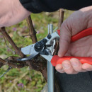 FELCO 7 Baumschere Thumbnail 2