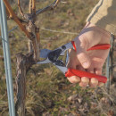 FELCO 12 Baumschere Thumbnail 3