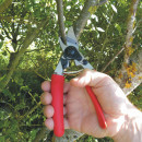 FELCO 12 Baumschere Thumbnail 4