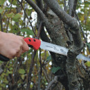 FELCO 611 Baumsäge Thumbnail 2
