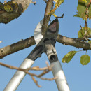 FELCO 231 Getriebeastschere Thumbnail 2