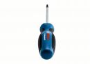 Bosch Schrauber Screwdriver TX 20x100 1600A01V0C Thumbnail 2