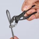 NW-HAZET Pince multiprise longueur 100 mm portée 24 mm - 87 00 100 Thumbnail 2