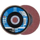 PFERD Fächerscheibe (Ø 125 mm Körnung 60 flach / INOX Normalkorund / Inhalt: 10 Stück) - 67606125 Thumbnail 1