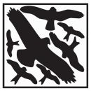 ALFRA Aufkleber (L290xB320 mm / Vogelschutzset, Vogelsymbole) - 52339 Thumbnail 1