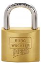 NW-Burg Wächter Zylindervorhangschloss (Schlosskörperbreite 50 mm / Messing gleichschließend Z5) - 116 50 Z5 GL Thumbnail 1