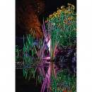 OASE 42638 ProfiLux Garden LED RGB Thumbnail 3