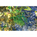 OASE 43139 AquaActiv AlGo Direct 500 ml Thumbnail 8