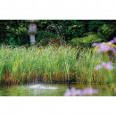 OASE 77371 Aquarius Fountain Set Classic 2000 E Thumbnail 5