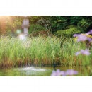 OASE 77371 Aquarius Fountain Set Classic 2000 E Thumbnail 6