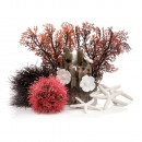 OASE 48442 biOrb Decor Set 15L Red Forest Thumbnail 1