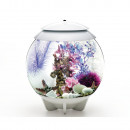 OASE 48444 biOrb Decor Set 30L Pink Ocean Thumbnail 2