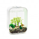 OASE 55026 biOrb Decor Set 15L Sommer Thumbnail 2
