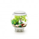 OASE 55026 biOrb Decor Set 15L Sommer Thumbnail 3