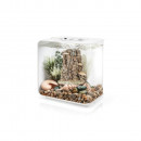 OASE 86372 biOrb Decor Set Forest Rhythym Thumbnail 2