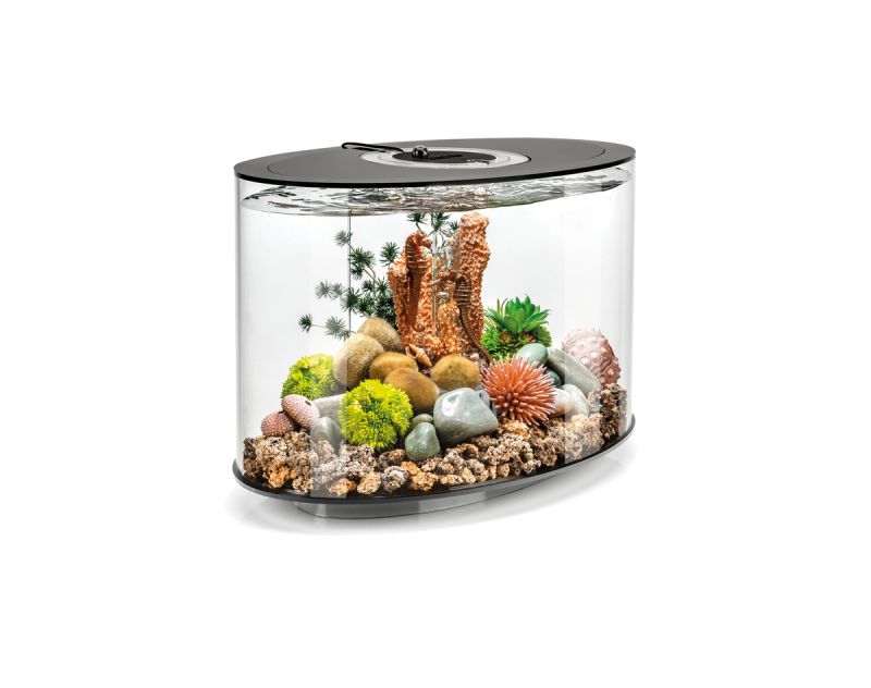 OASE 86425 biOrb LOOP 15 LED schwarz