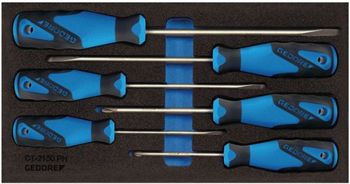 Gedore Werkzeugmodul (6-teilig 1/3-Modul / Schlitz / PH) - 2309130