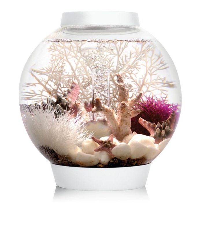 OASE 72001 biOrb CLASSIC 15 LED weiß